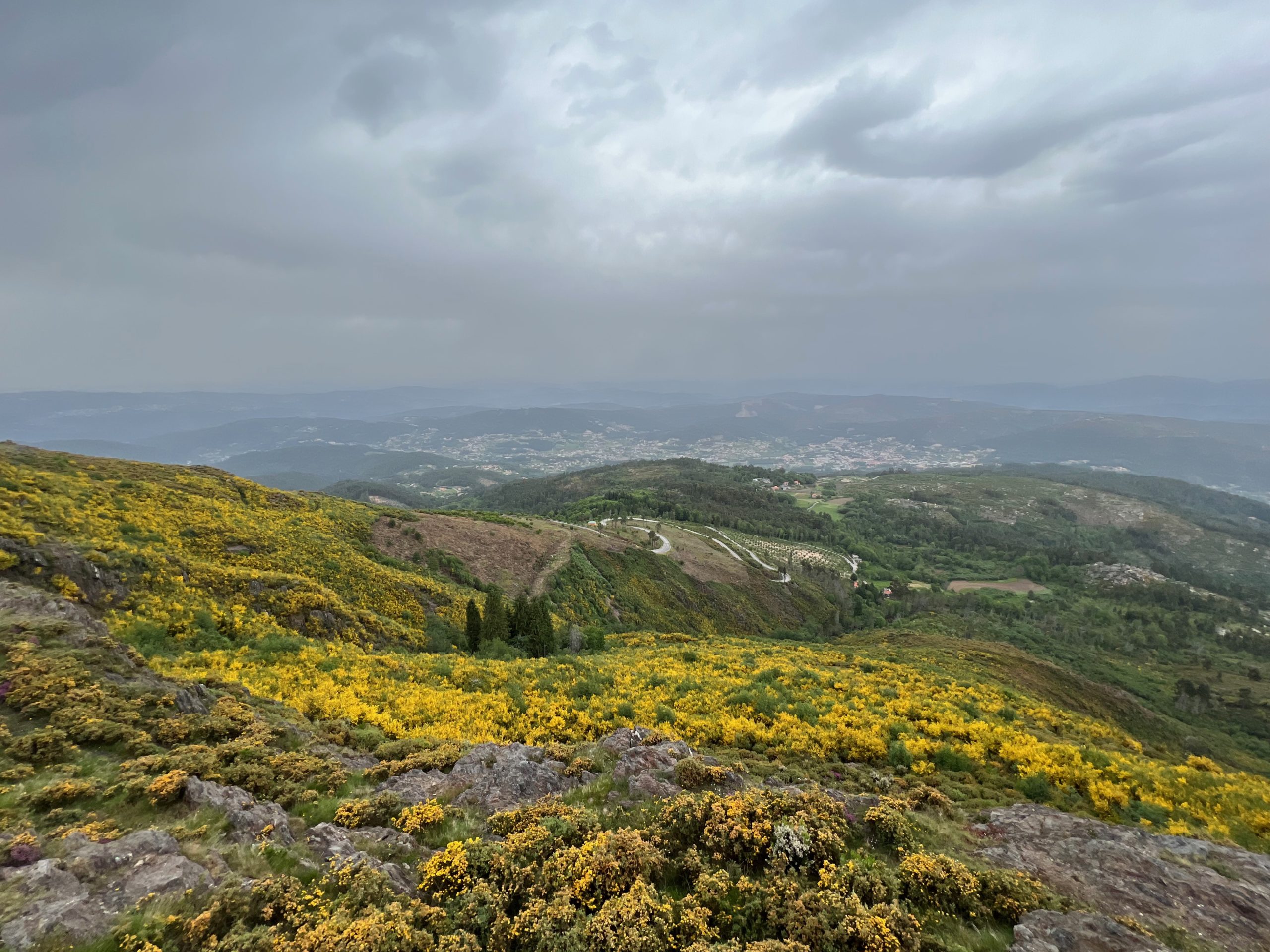 Pia-mingenbach-professional-career-marketing-latest-activities-travel-field-trip-Northern-Portugal-visit-Arouca-Geoparc-tourism-mountain-view-yellow-flowers-students-LTM-University-Stralsund